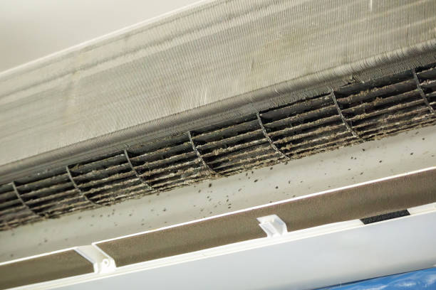 Best Local Air Duct Cleaning Services  in Sperry, OK